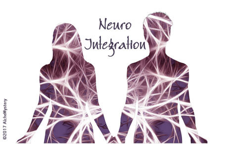 Neuro Integration